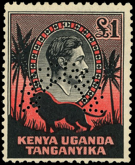 KUT SG 131s-150s Specimens