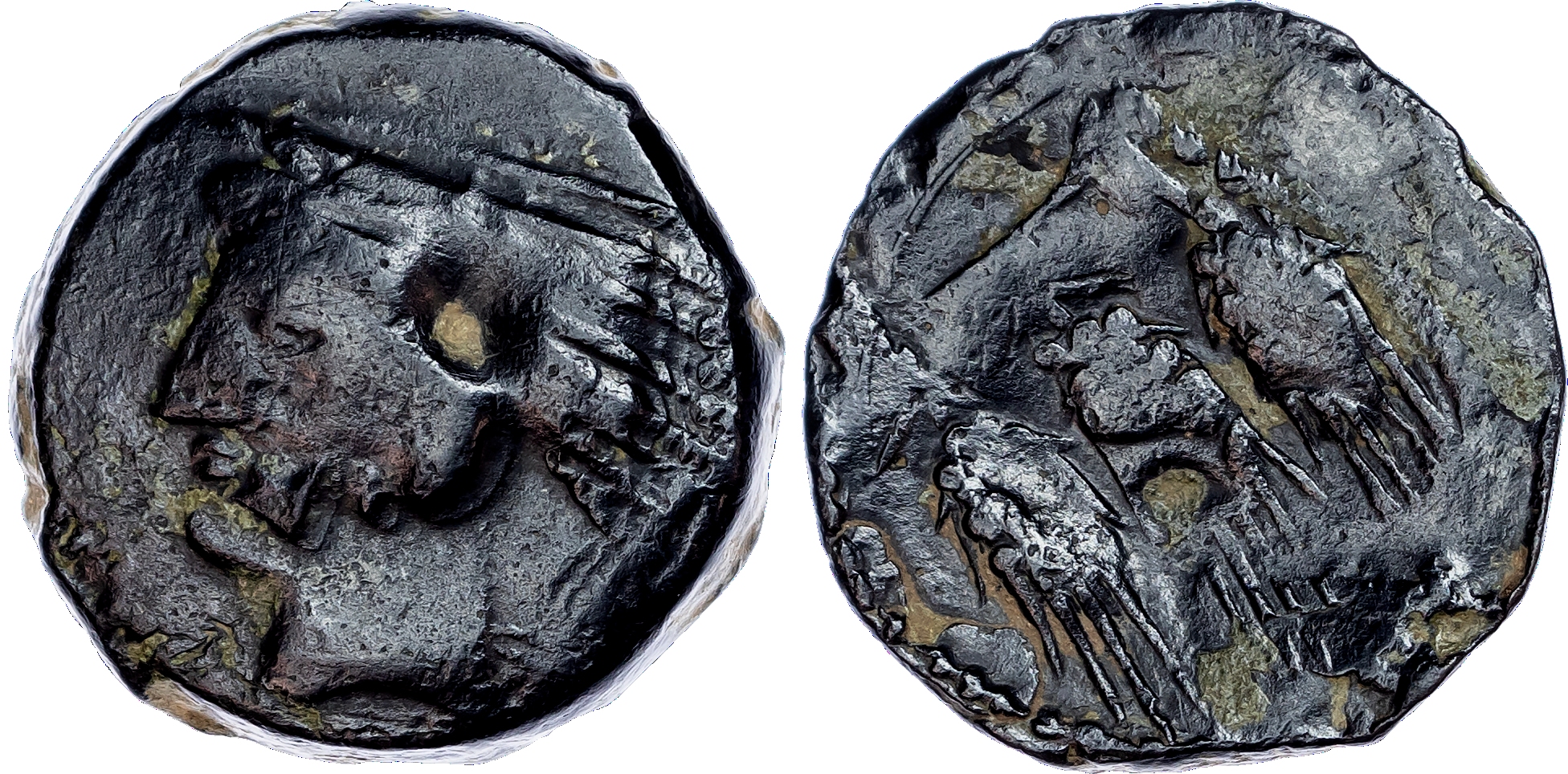 Mauretania, Iol‑Caesarea (3rd-2nd Century BC) Group of AE Half-Units and one large unit (3).