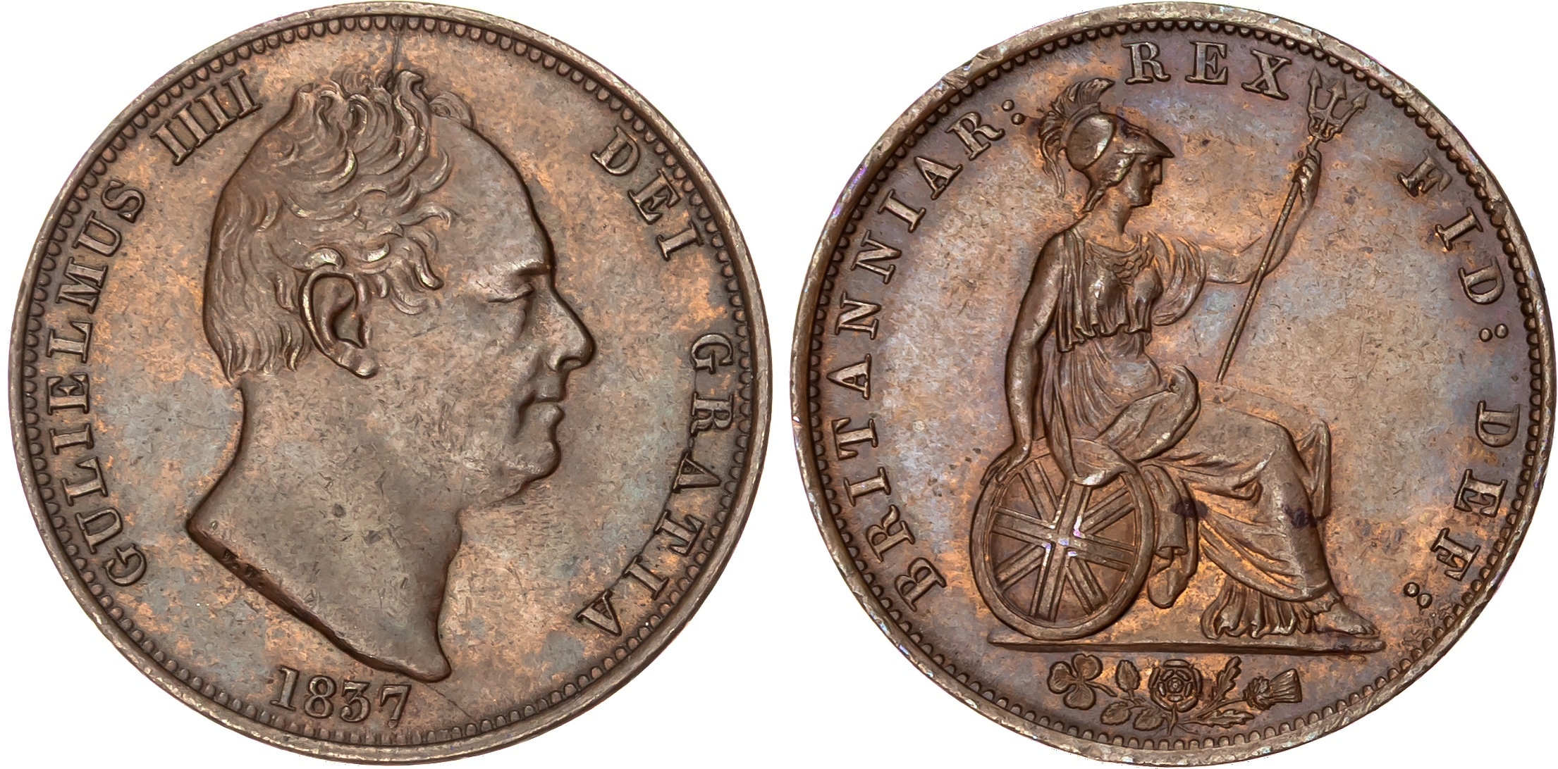 William IV (1830‑1837), AE Halfpenny, 1837. 