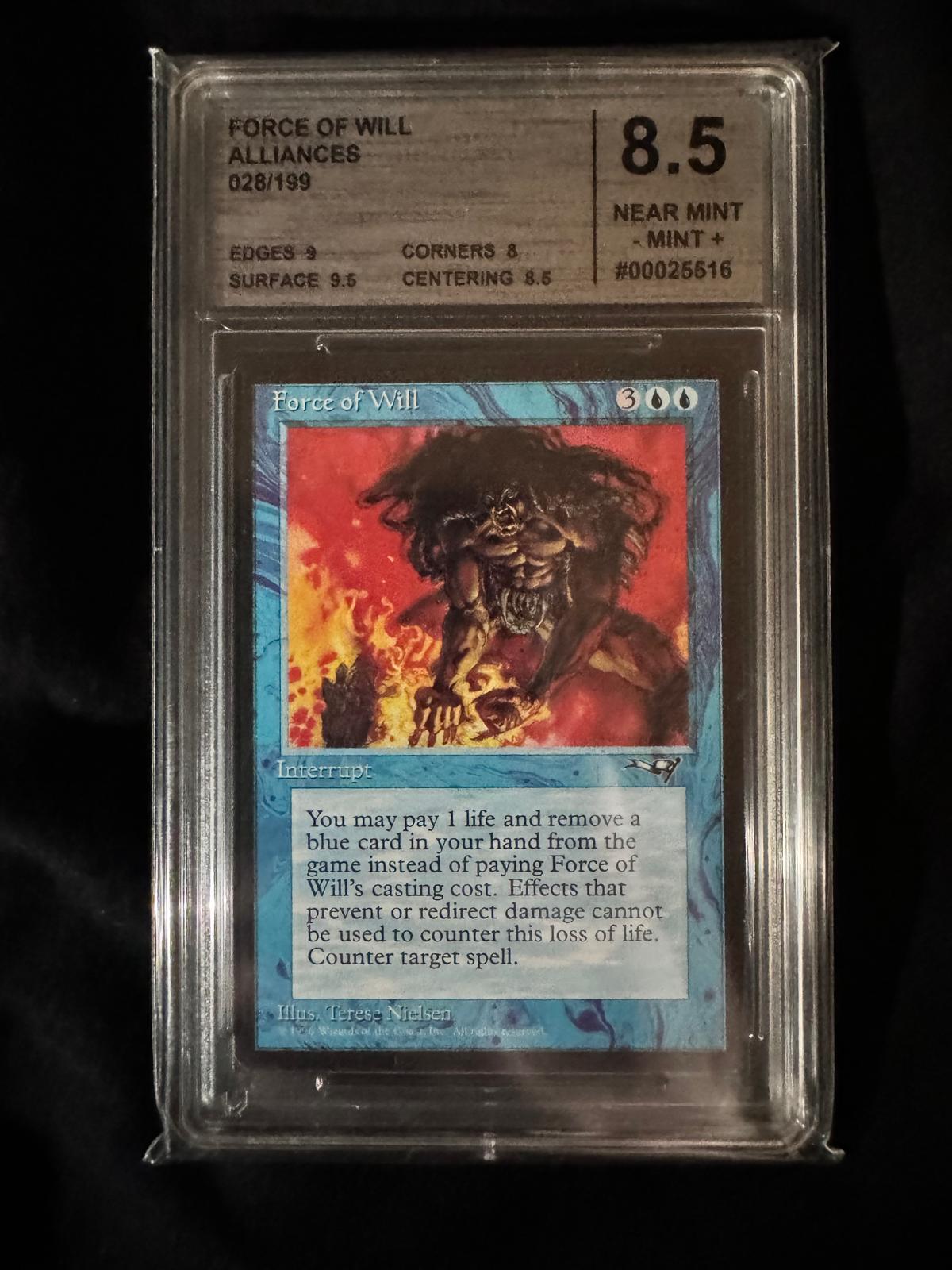 Magic The Gathering - Force of Will - Alliances - CMG 8.5 Near Mint/Mint 