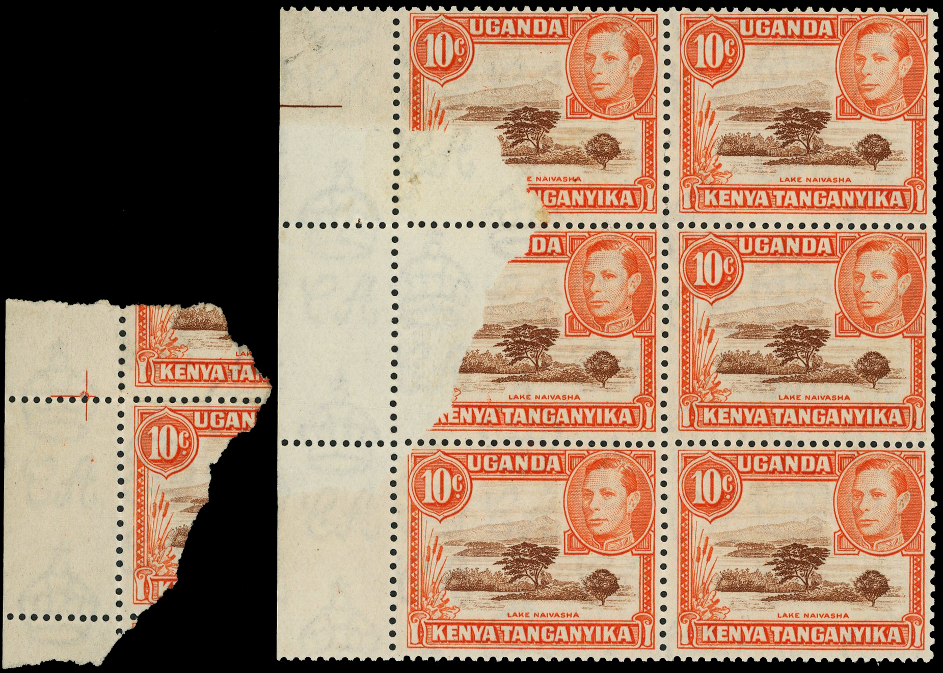 KUT SG 134 var block mint