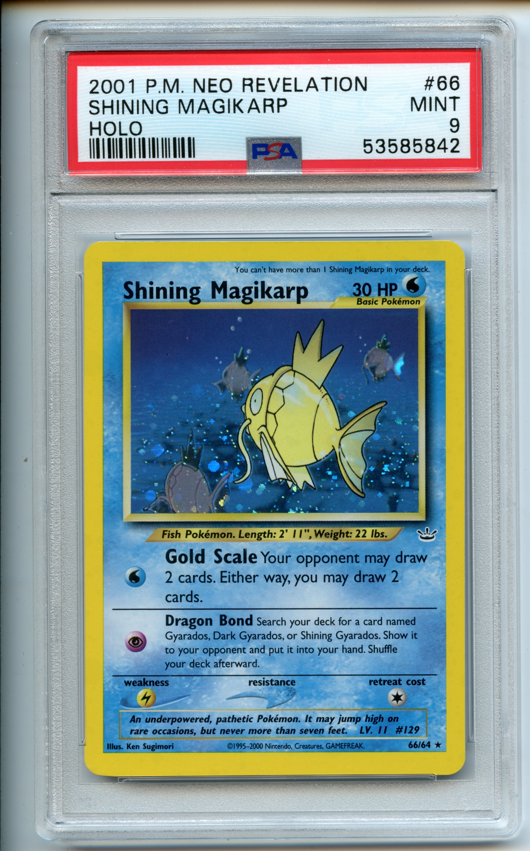 Pokemon TCG  - Shining Magikarp  - Neo Revelation - PSA 9 