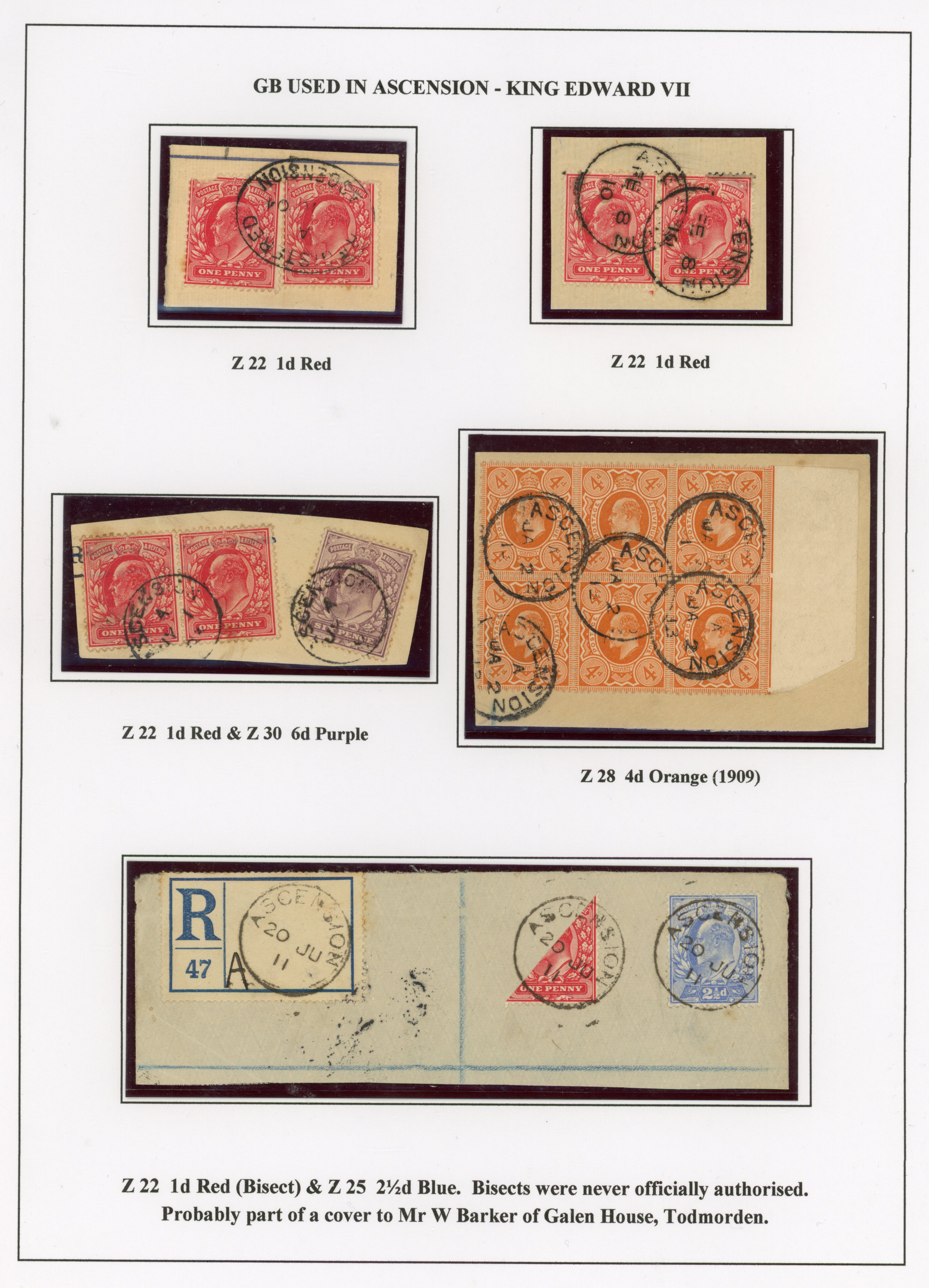 Ascension SG Z22/30 used