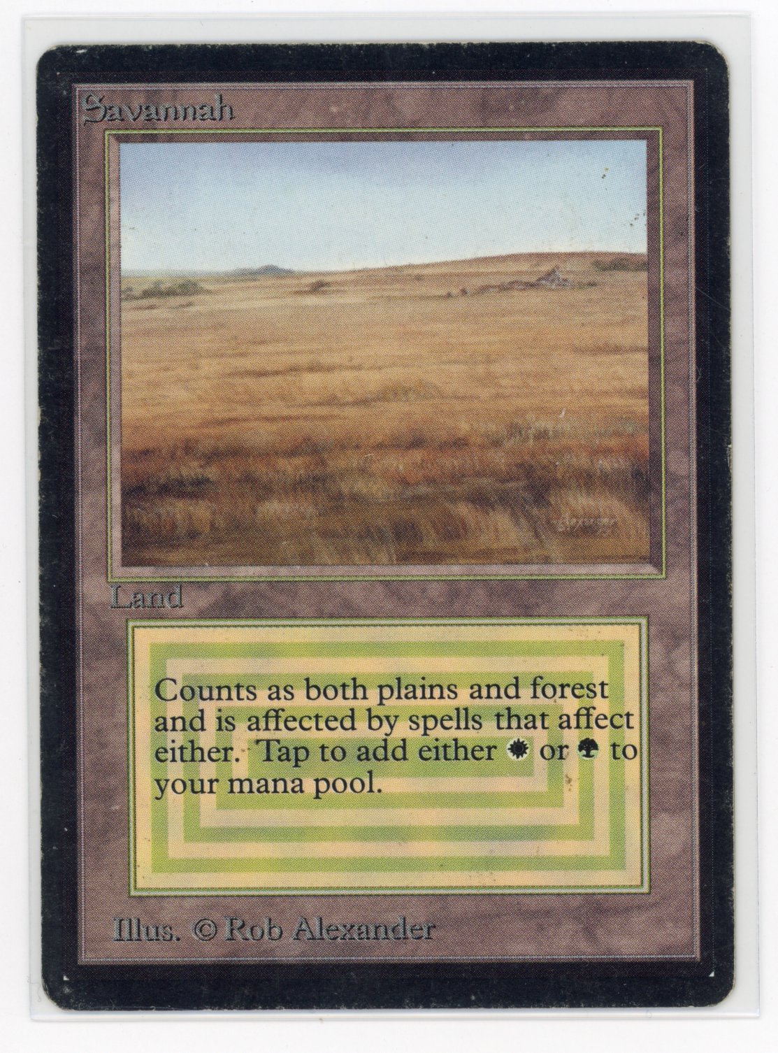 Savannah - Beta (LP)