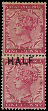 1895 "HALF" on 1d rose, vertical pair, the upper stamp SURCHARGE OMITTED, faintly toned large part o.g. and a trifle...