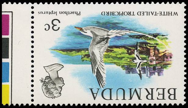 Bermuda SGe327bw mint