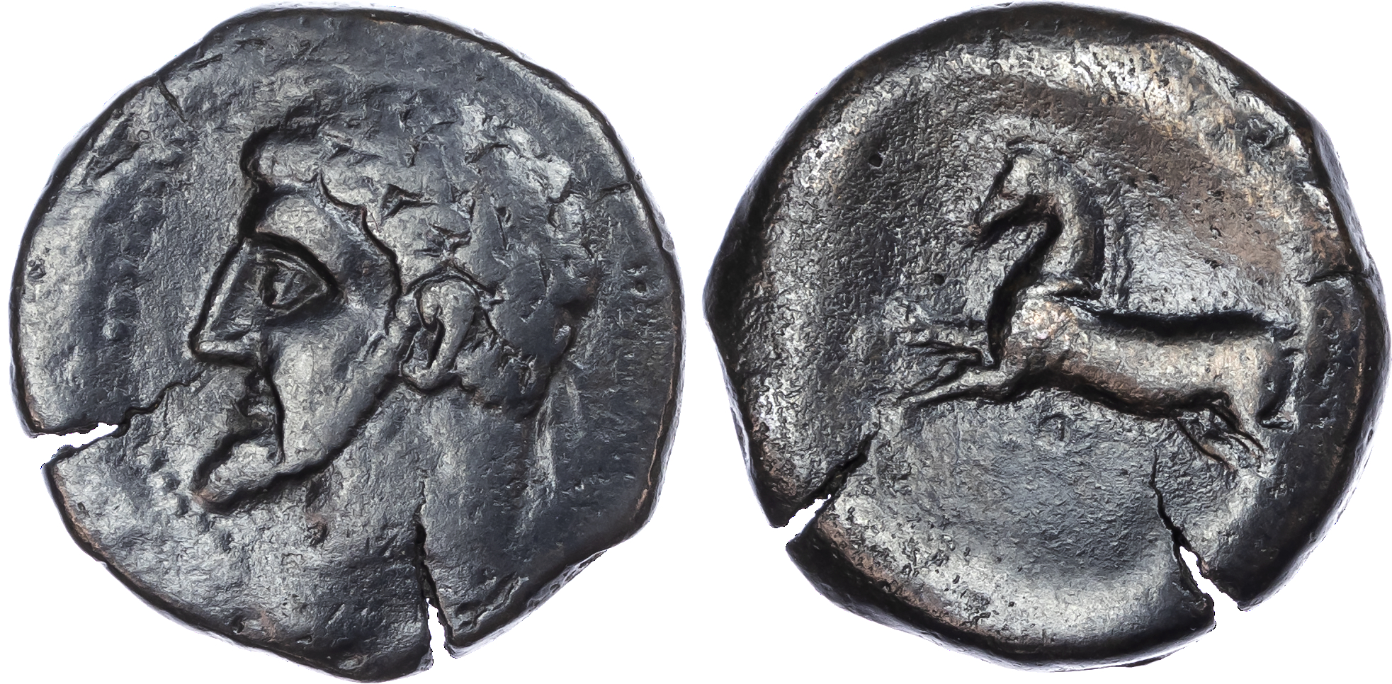 Numidia, Micipsa (148-118 BC) AE Unit