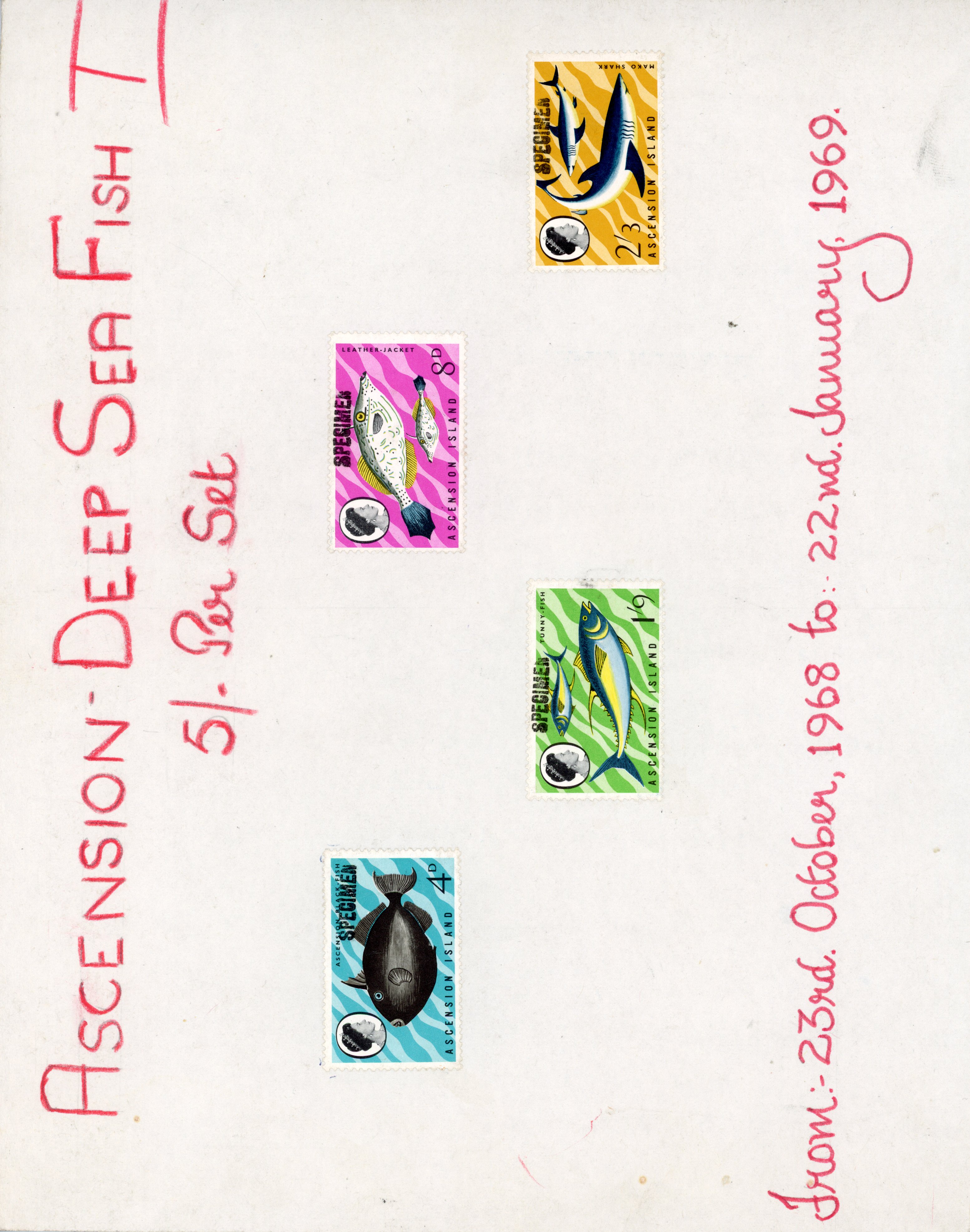 Ascension SG 113-6 Specimens