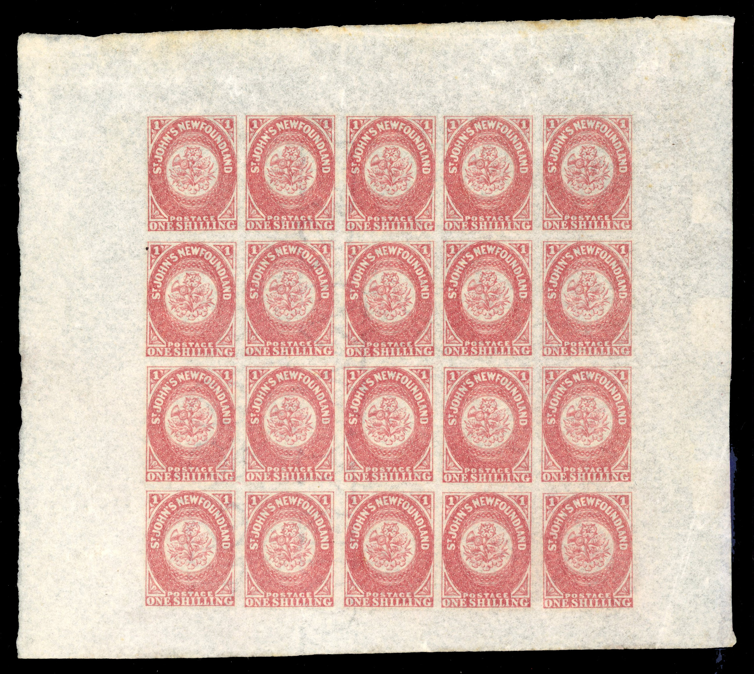 Newfoundland SG 23 1s rose-lake in complete sheet with Stacey Wise wmk
