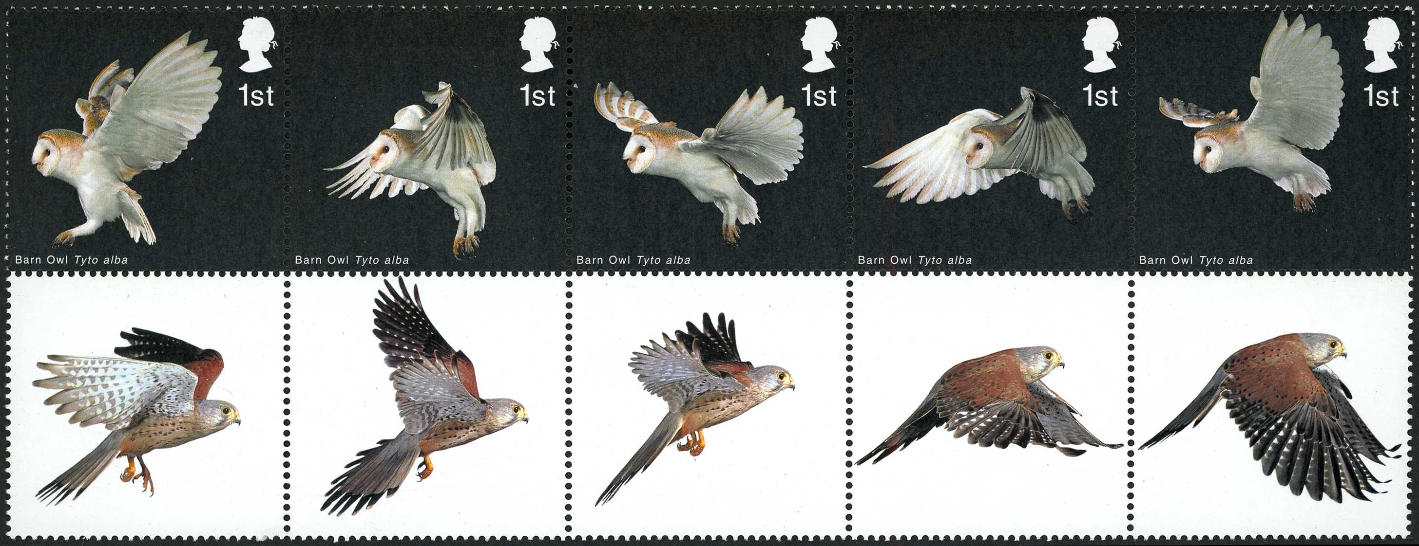 2003 1st Birds of Prey. Very fine unmounted...