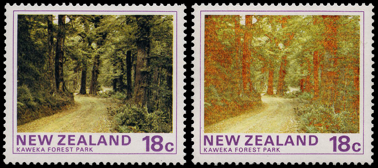 1975 18ct Kaweka Forest Park showing...