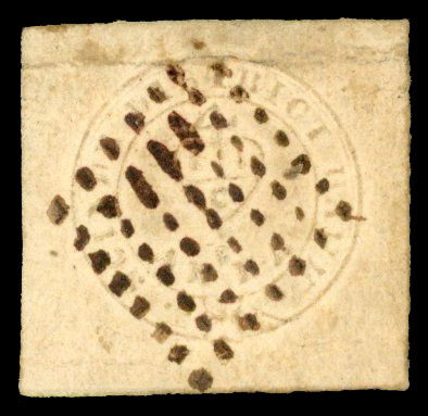 India SG S1 white Scinde Dawk