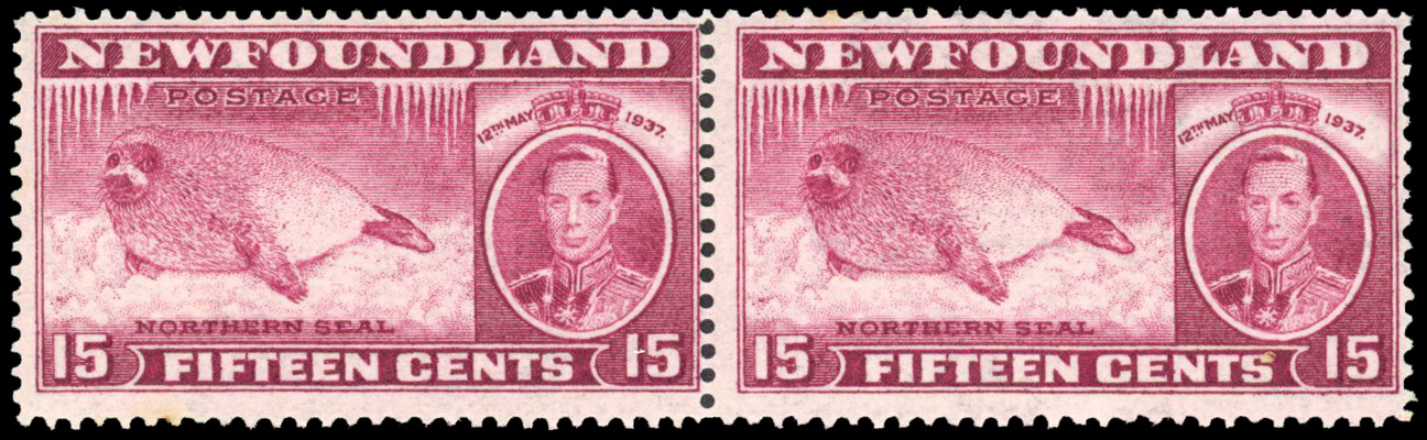 Newfoundland SG 263ca pair mint