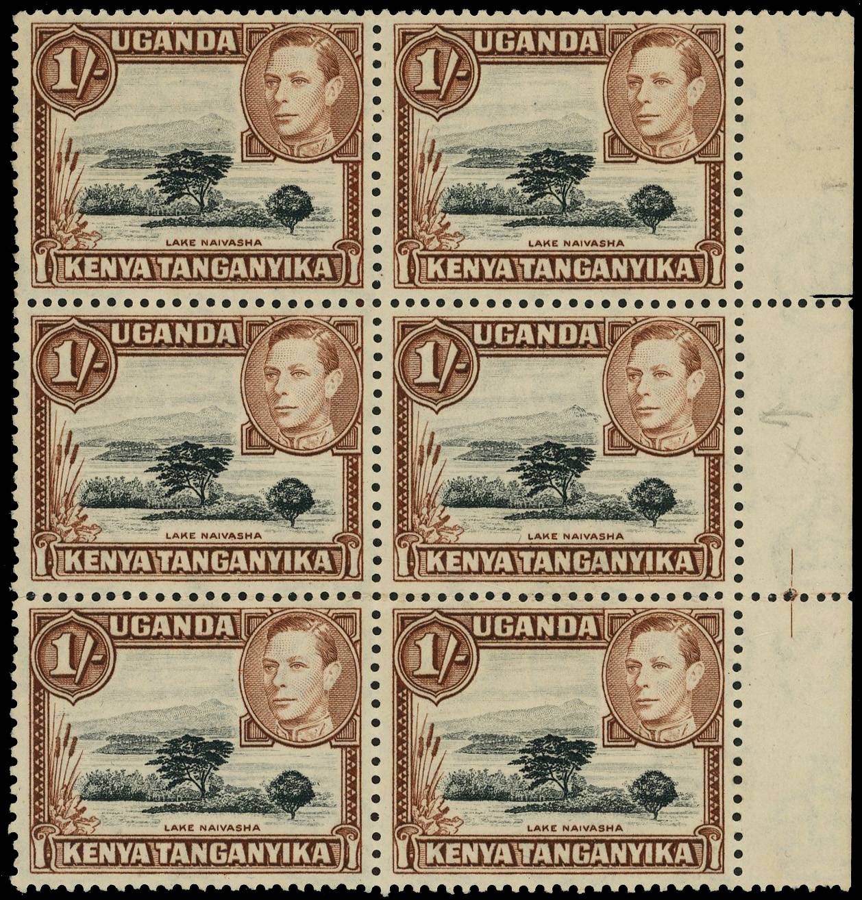 KUT SG 145ad block mint