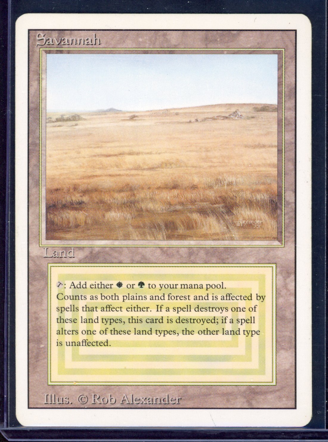 Savannah - Revised 3rd Edition - Excellent Condition