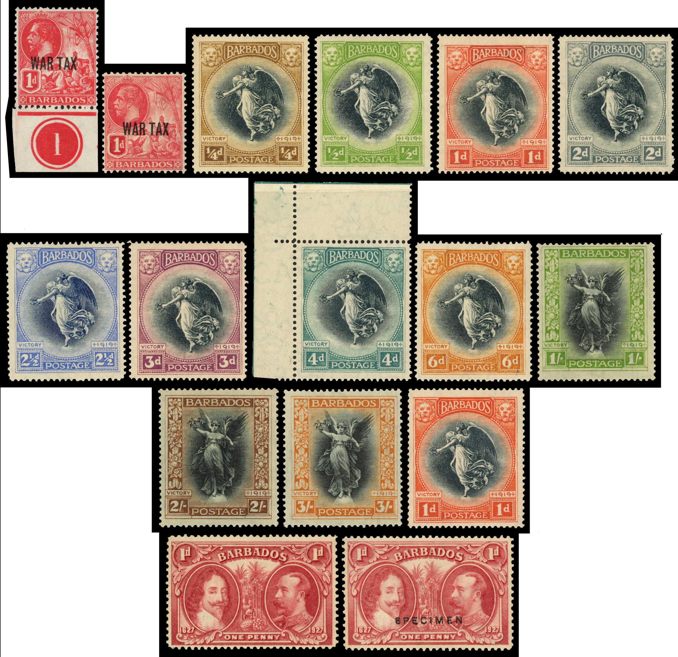 Barbados mint selection