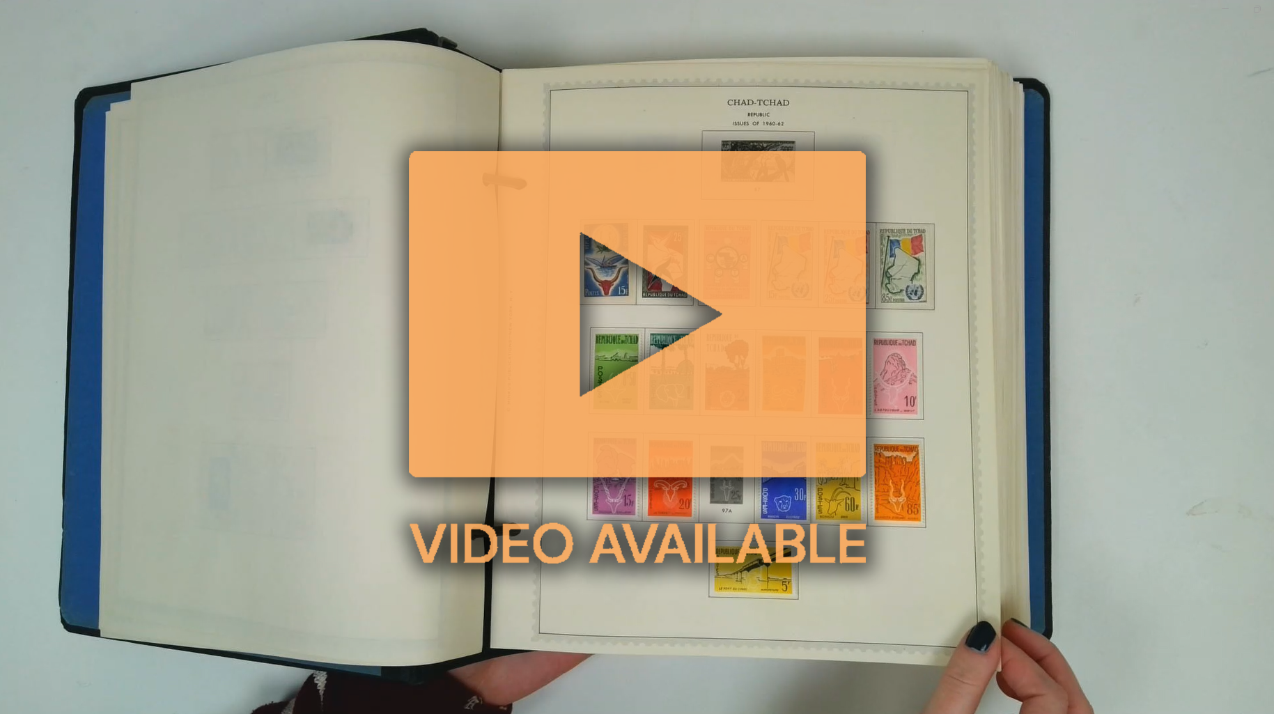 Foreign Countries collection in 16 very large Supreme Global stamp albums