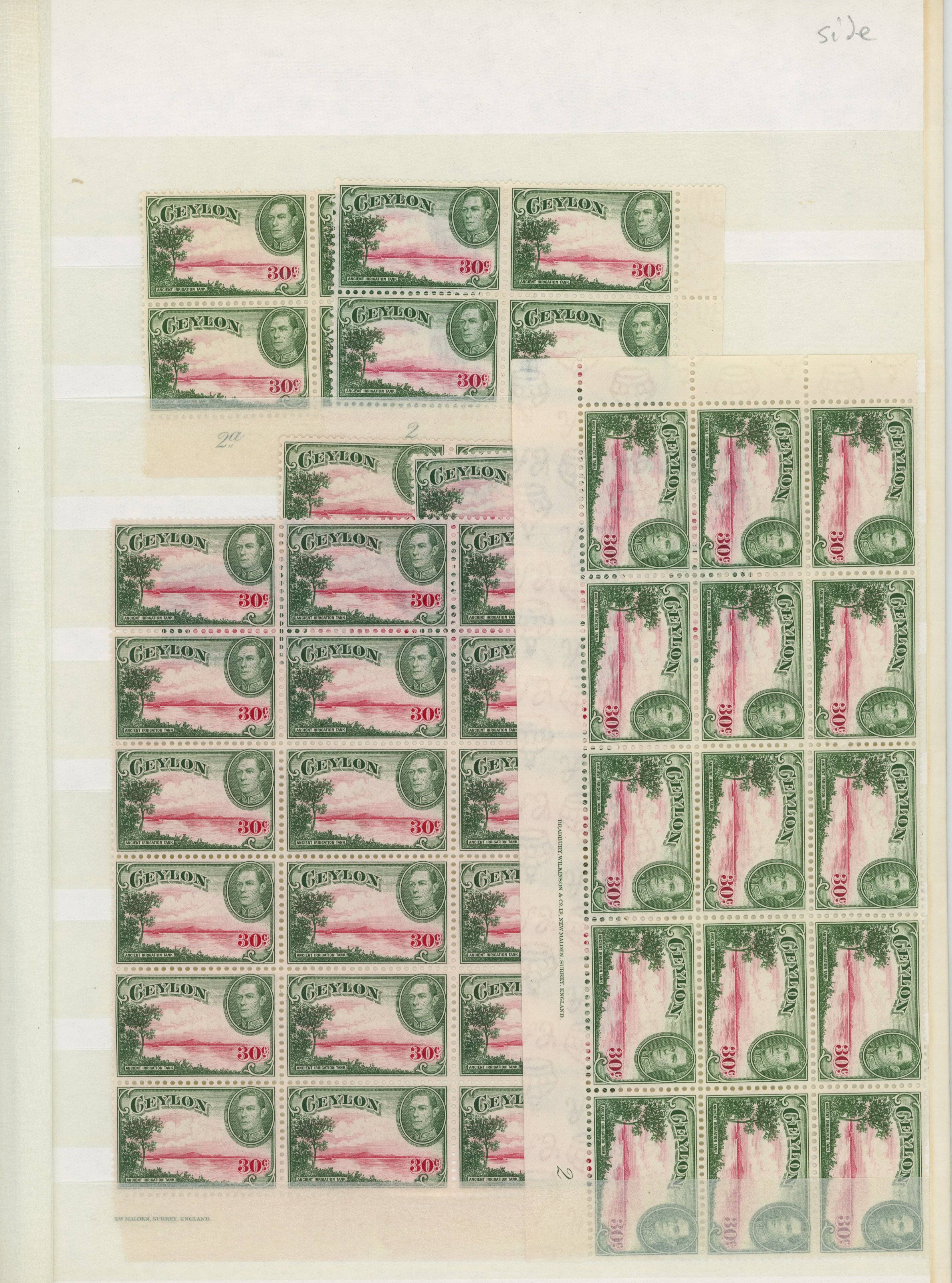 Ceylon SG 393, b multiples mint