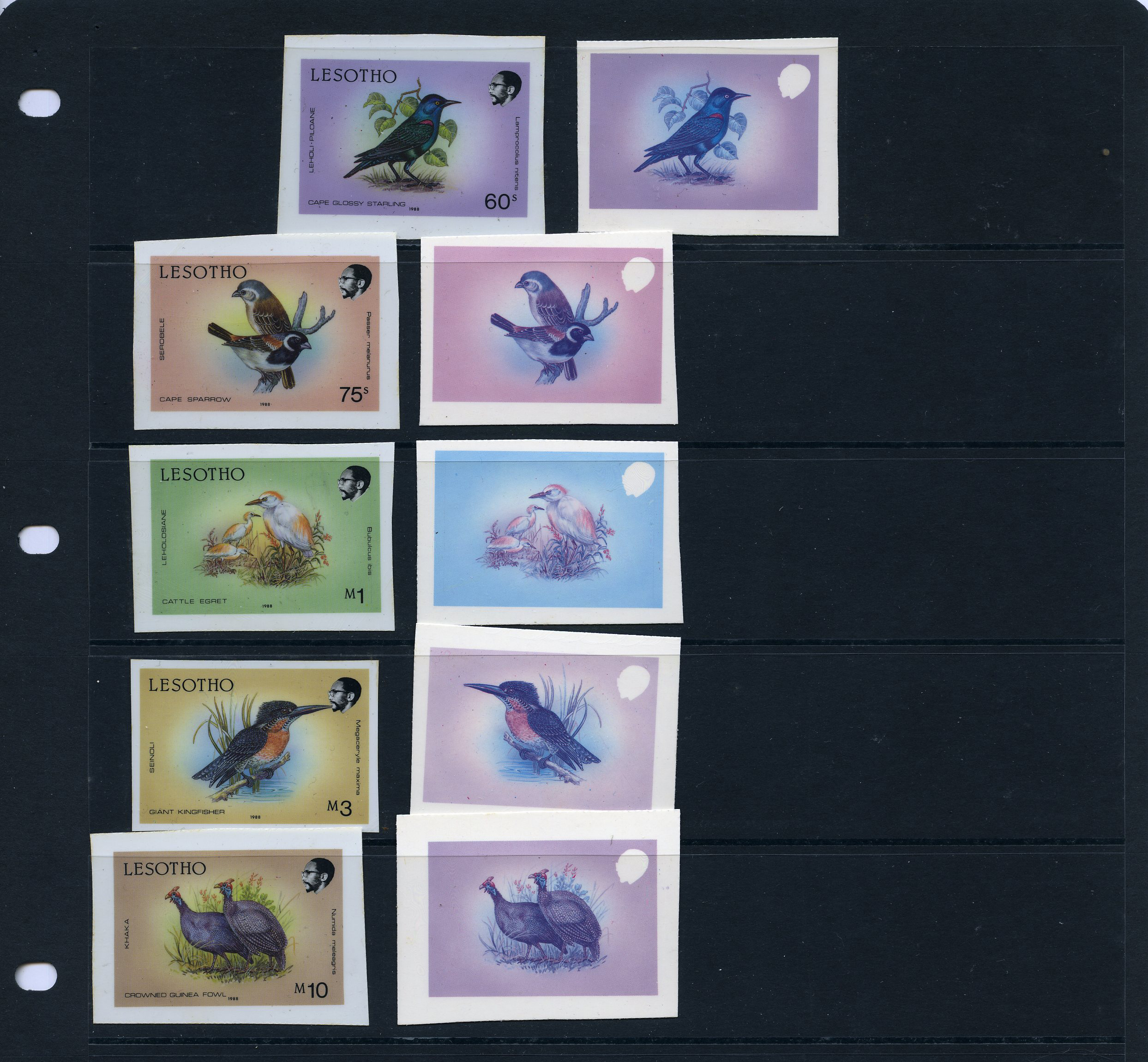 Lesotho 1988 Birds definitive set of fifteen. Set of die proofs