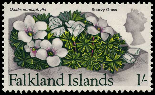 1968 1s Scurvy Grass, watermark inverted...