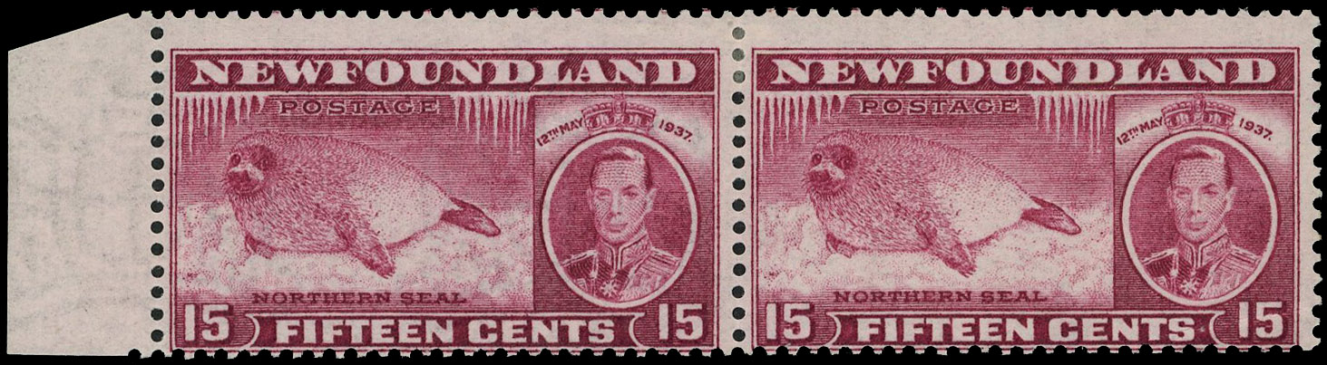 Newfoundland SG 262a pair mint