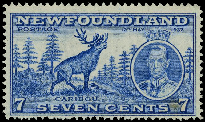 Newfoundland SG 259e mint