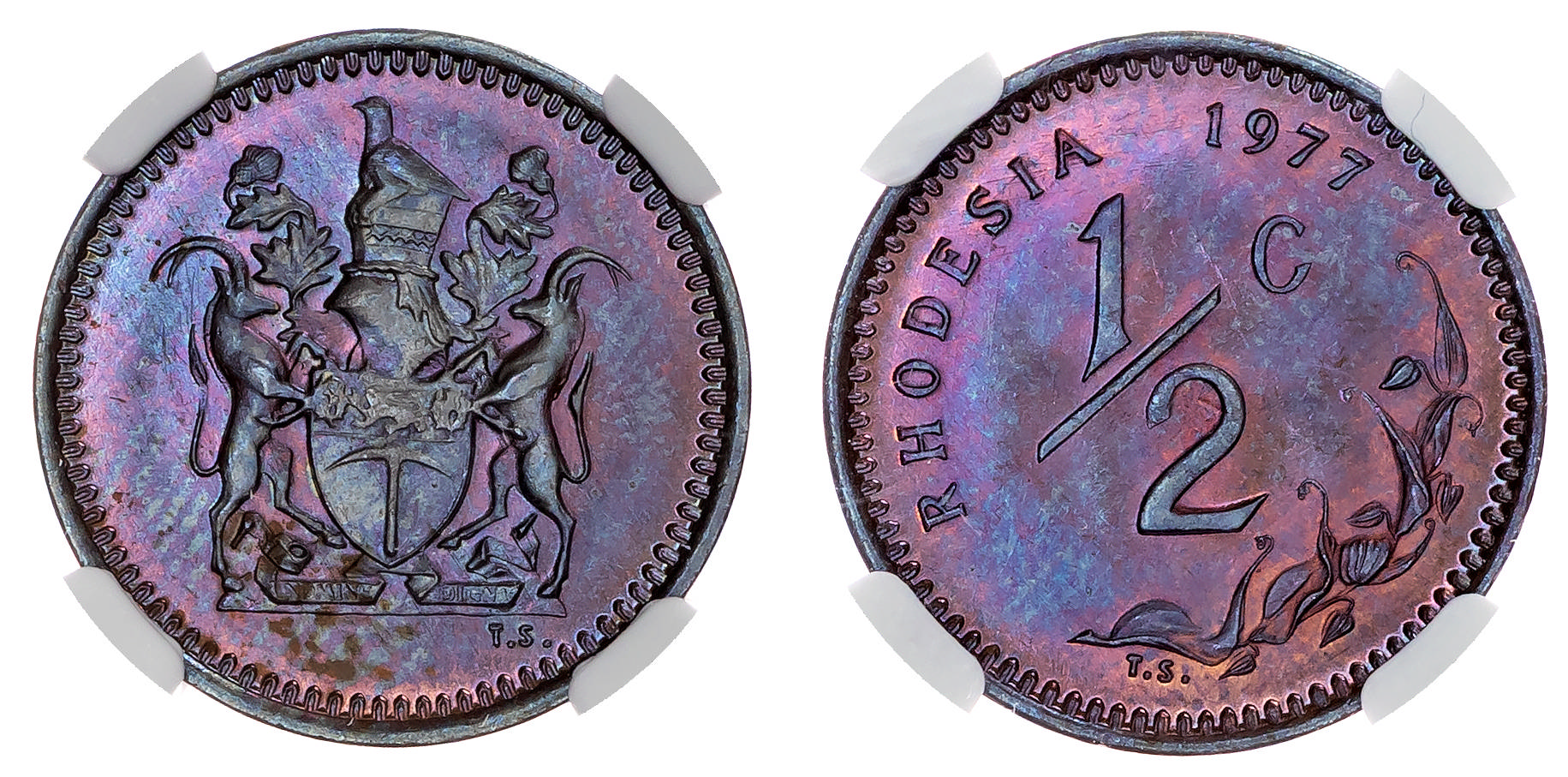 Rhodesia, Republic (1970-1977), bronze Half Cent, 1977 - MS 66