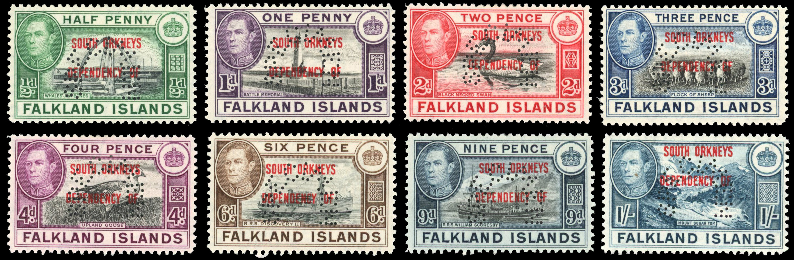 FID SG C1s-8s Specimens