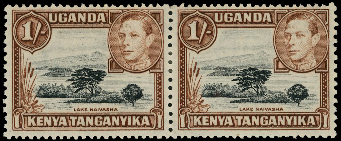 KUT SG 145ac mint