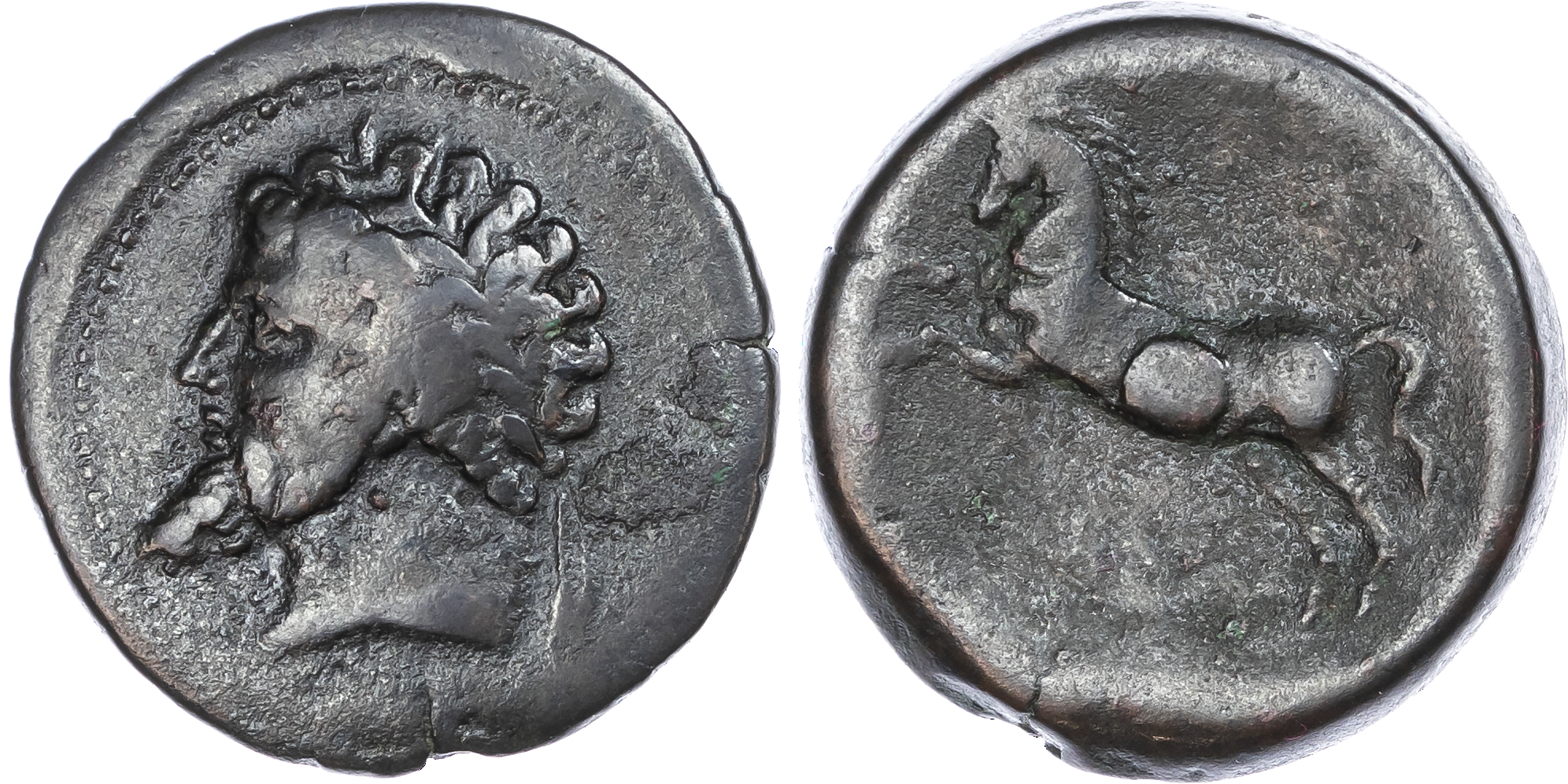 Numidia, Micipsa (148-118 BC) AE Unit