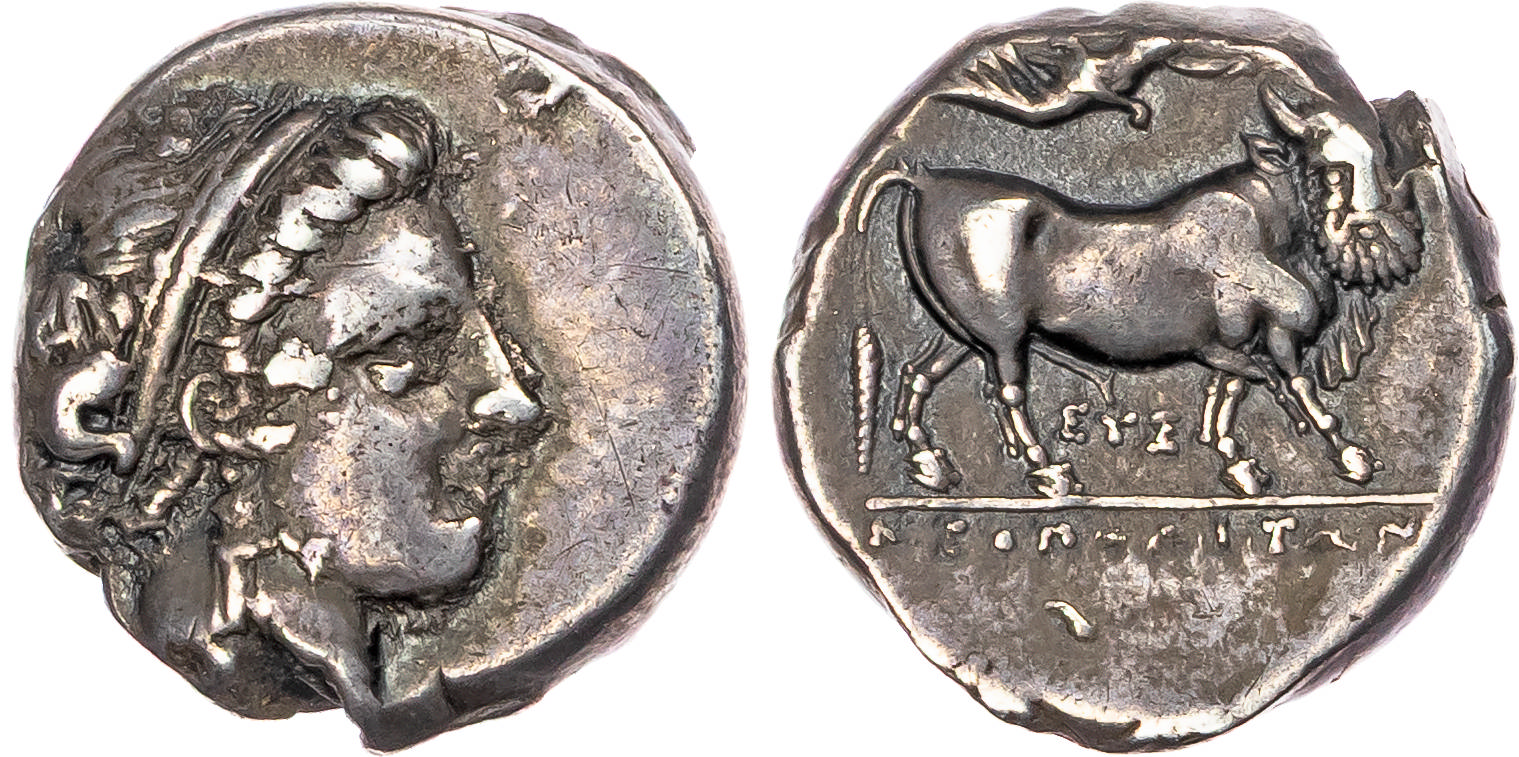 Campania, Neapolis (c. 300 BC) AR Nomos, 7.34g.
