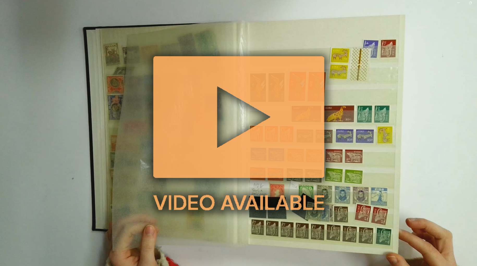 Mainly European miscellany in two stockbooks