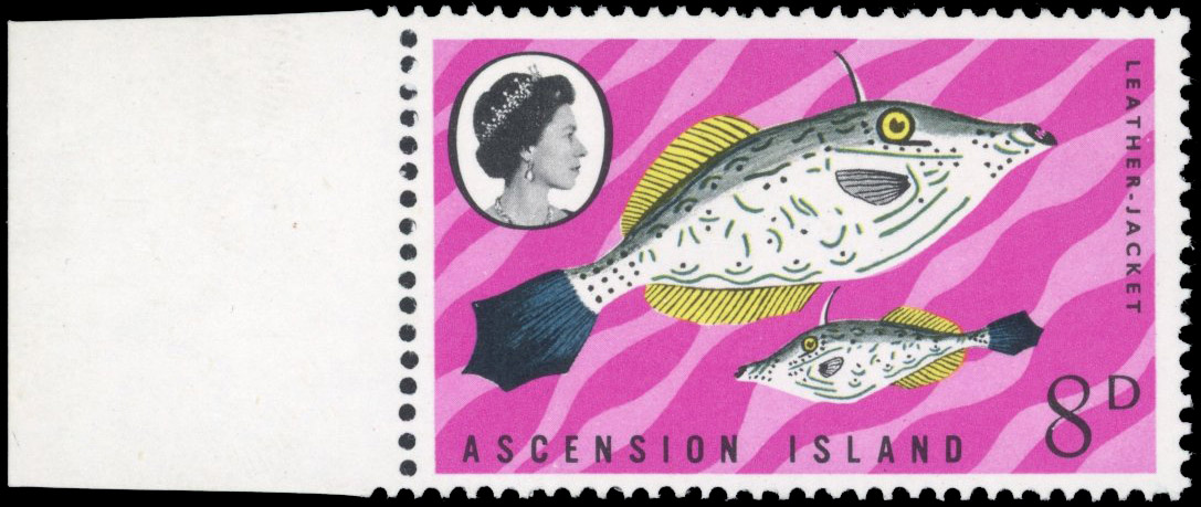 Ascension SG 114w 1968 8d Scribbled Filefish watermark Crown to right of CA mint
