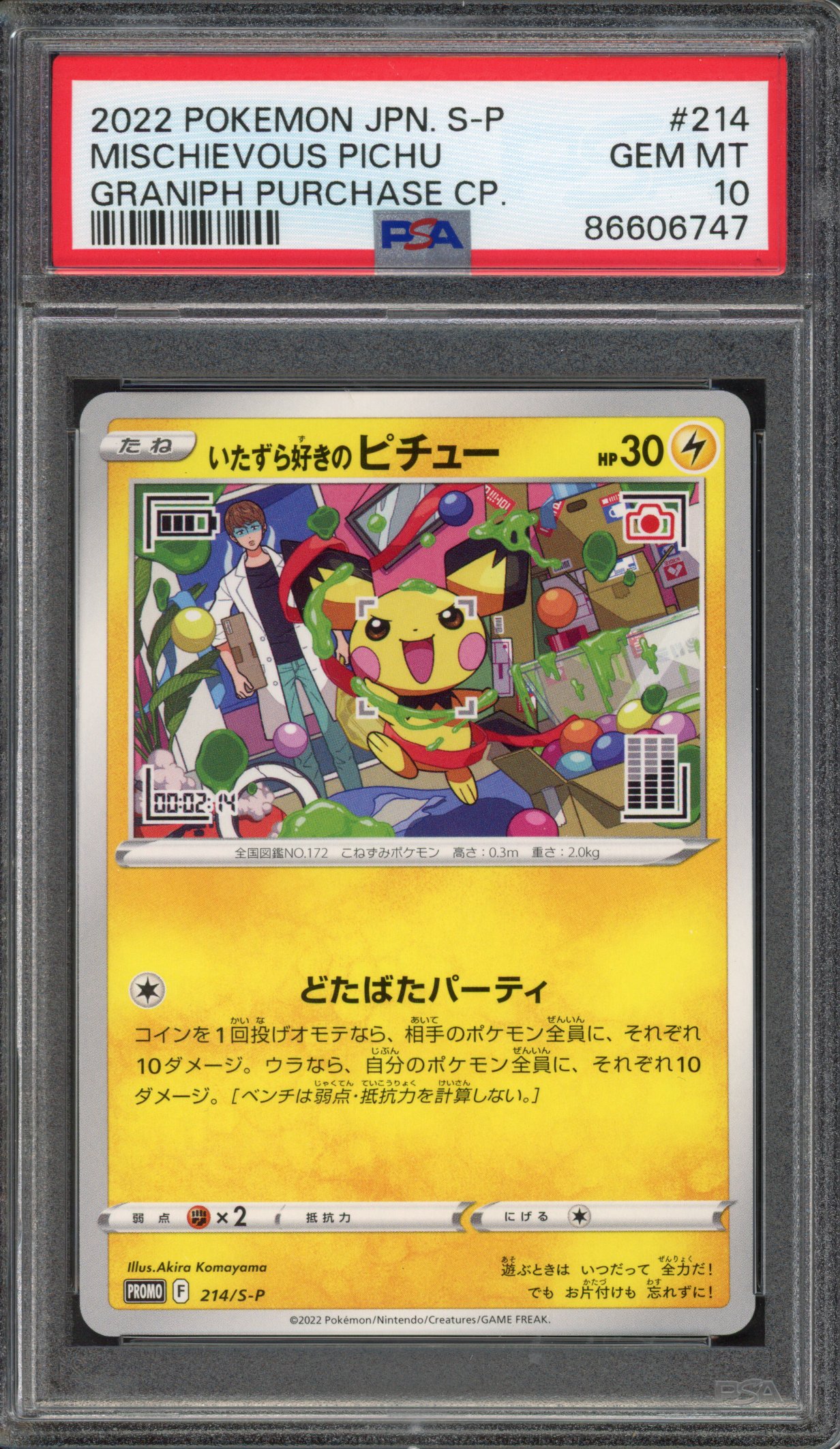 Pokémon TCG - PSA 10 Mischevious Pichu - Graniph Purchase CP 2022