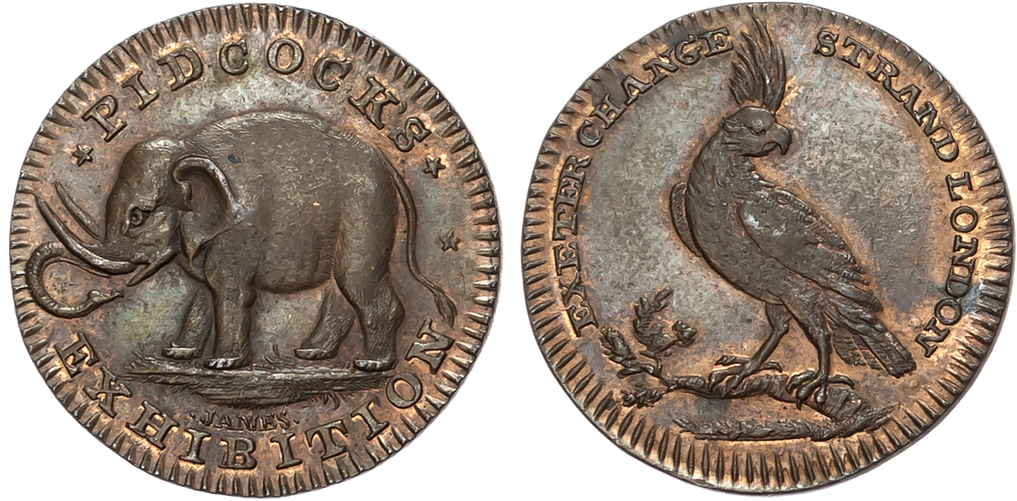 London, Strand, Gilbert Pidcock Farthing undated, African elephant standing left, rev. orange crested cockatoo, edge pla …