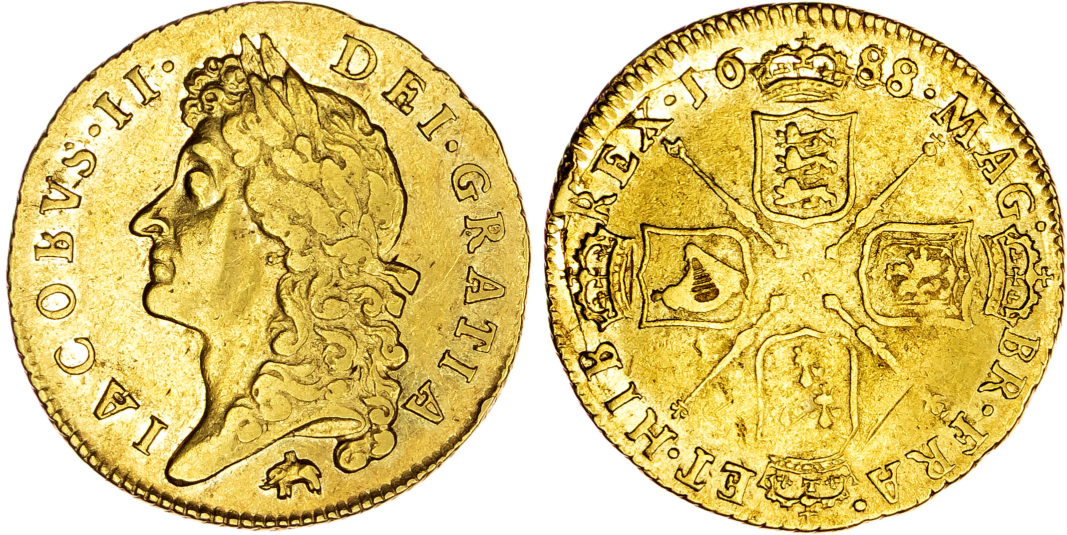 James II (1685-1688), AV Guinea, 1688. 