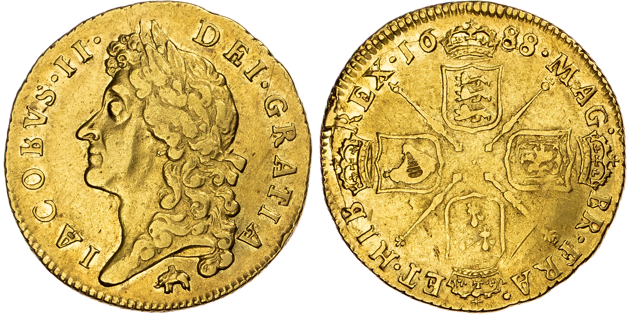 James II (1685-1688), Guinea, 1688.