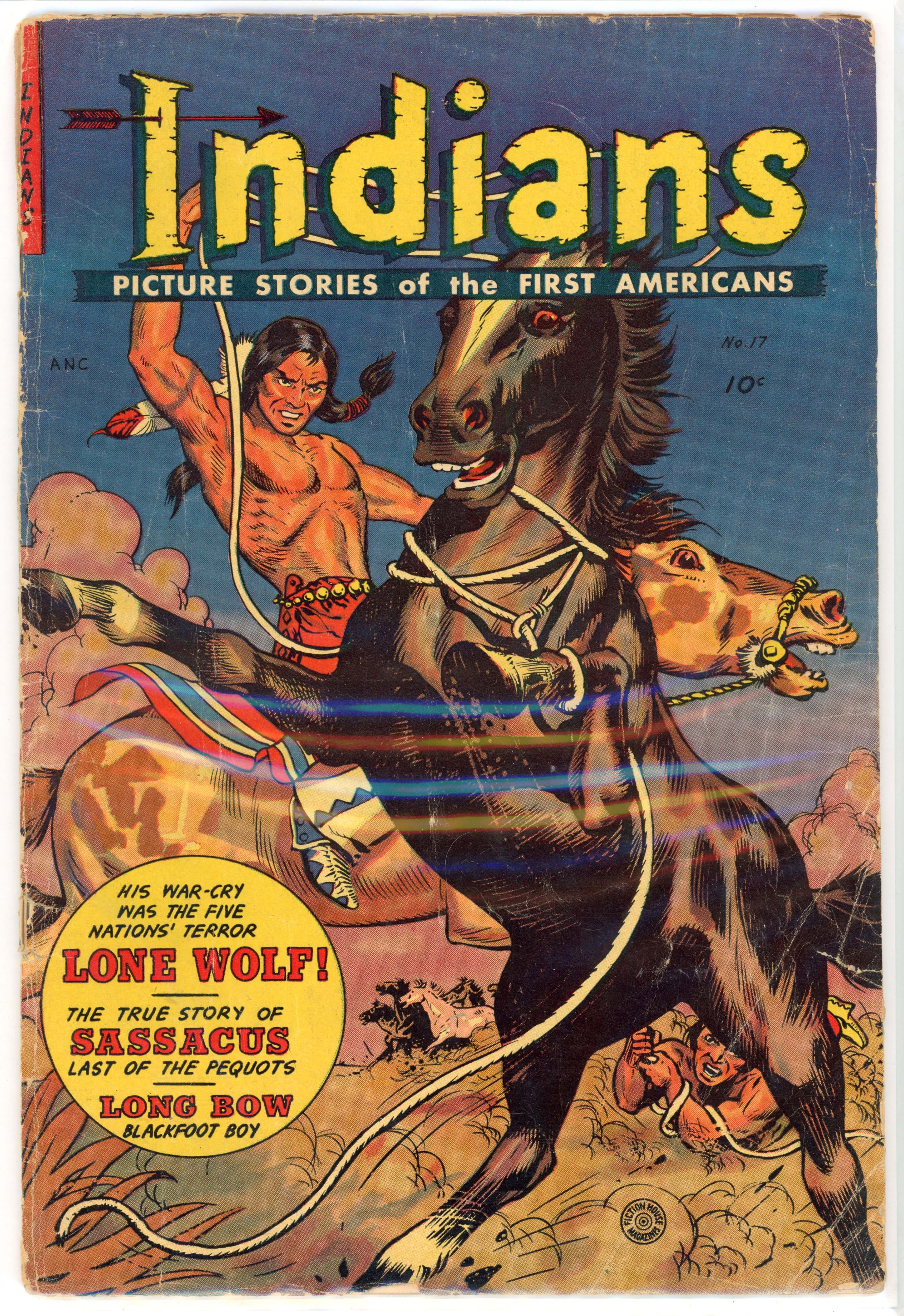 Indians #17 (Fiction House, 1953)