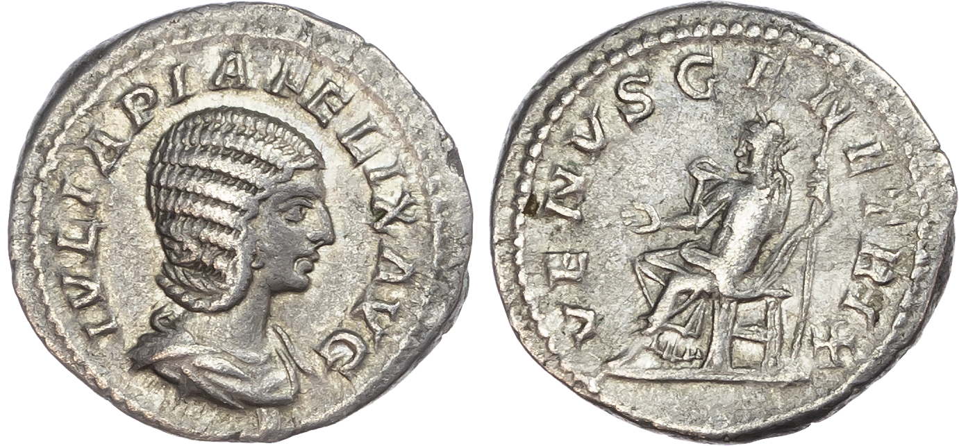 Julia Domna (Wife of Septimius Severus) AR Denarius, Rome, AD 216, 3.23g. 