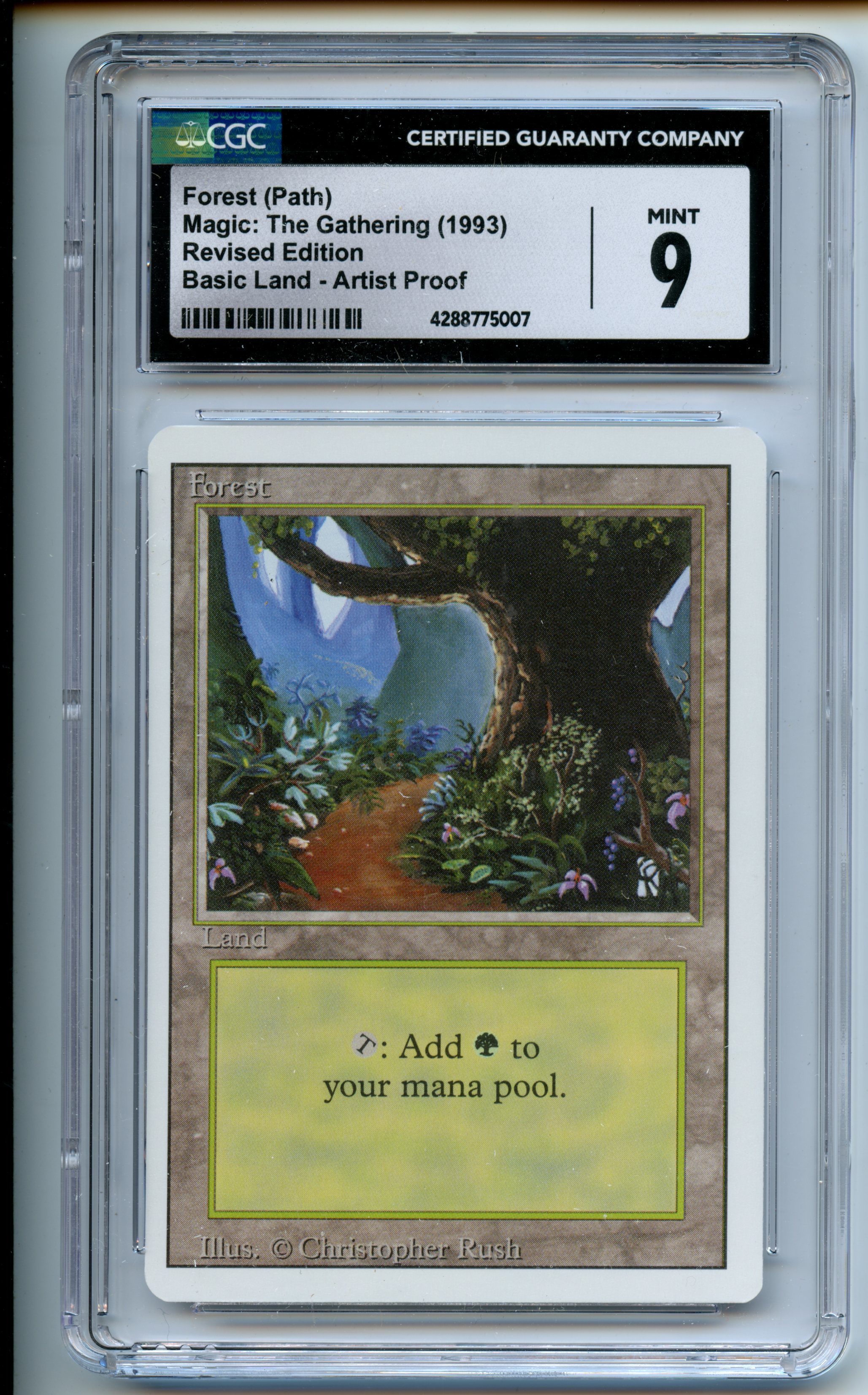 Magic: The Gathering  - Forest (Path)  Artist Proof  - Revised  - CGC 9