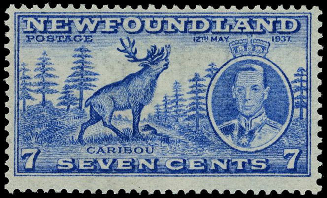 Newfoundland SG 259d mint