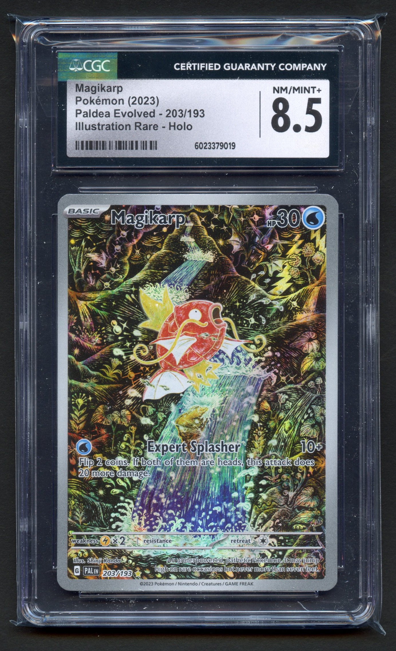CGC 8.5 Magikarp Paldea Evolved #203 Illustration Rare