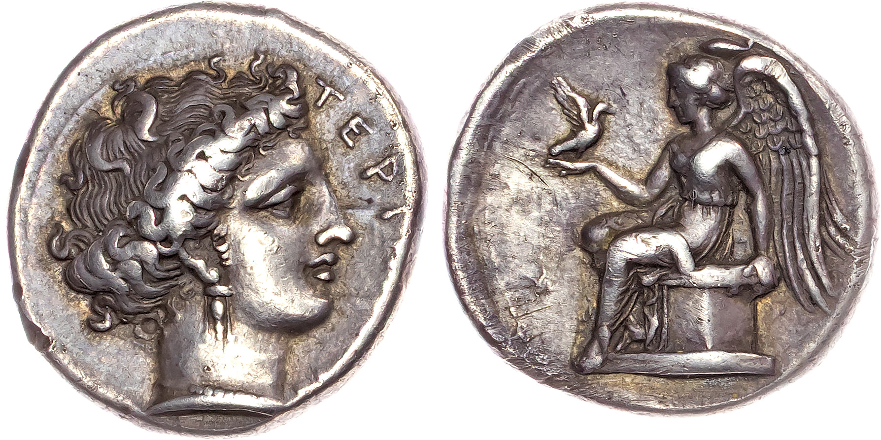 Bruttium, Terina (c. 420-400 BC) AR Nomos, 7.68g. 