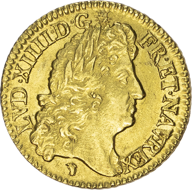 France. Louis XIV AV Louis D'Or. 1690D. (Lyon). 