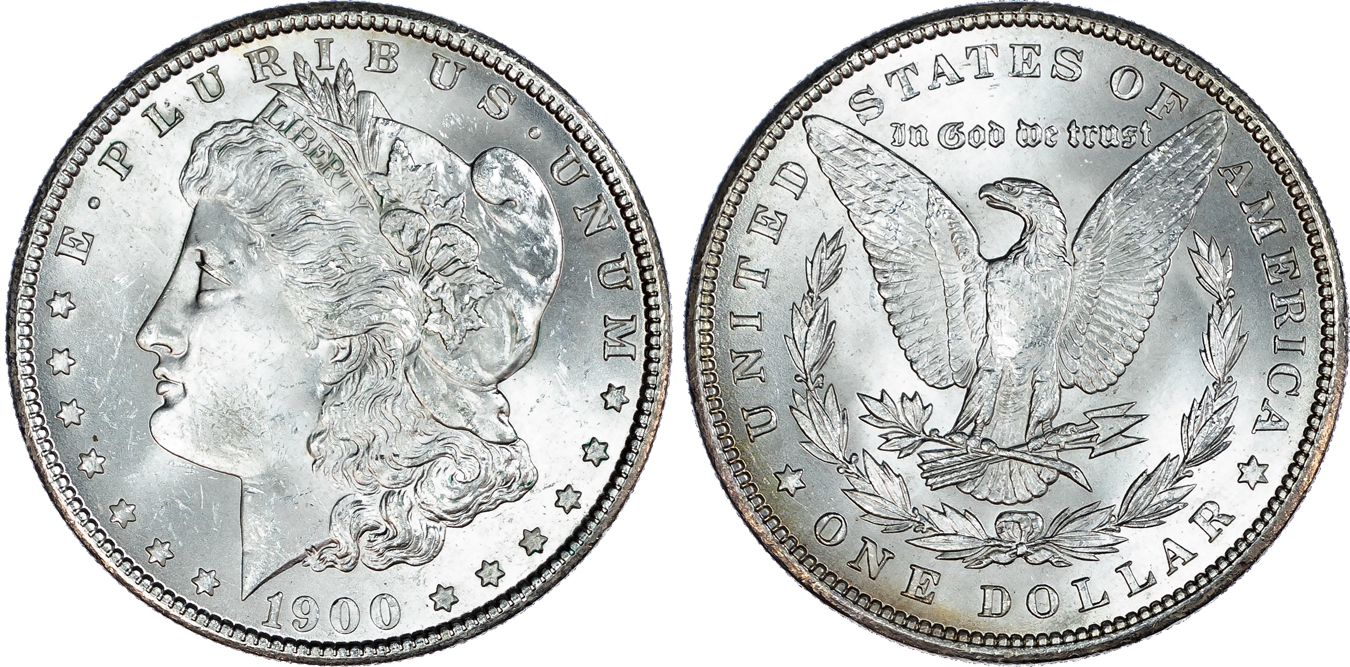 USA, silver Morgan Dollar, 1900