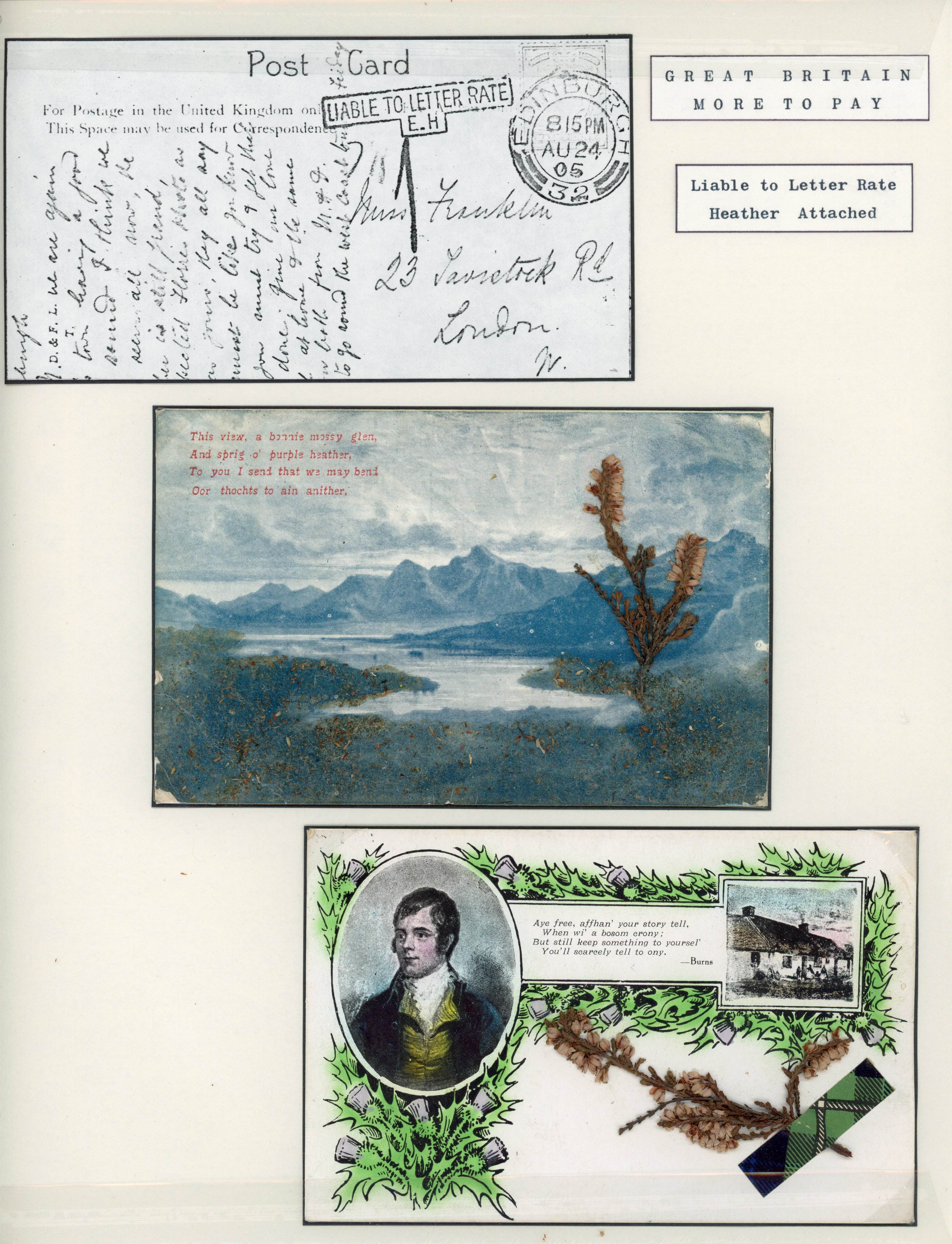 Great Britain 1905-07 pair of novelty postcards with heather attached