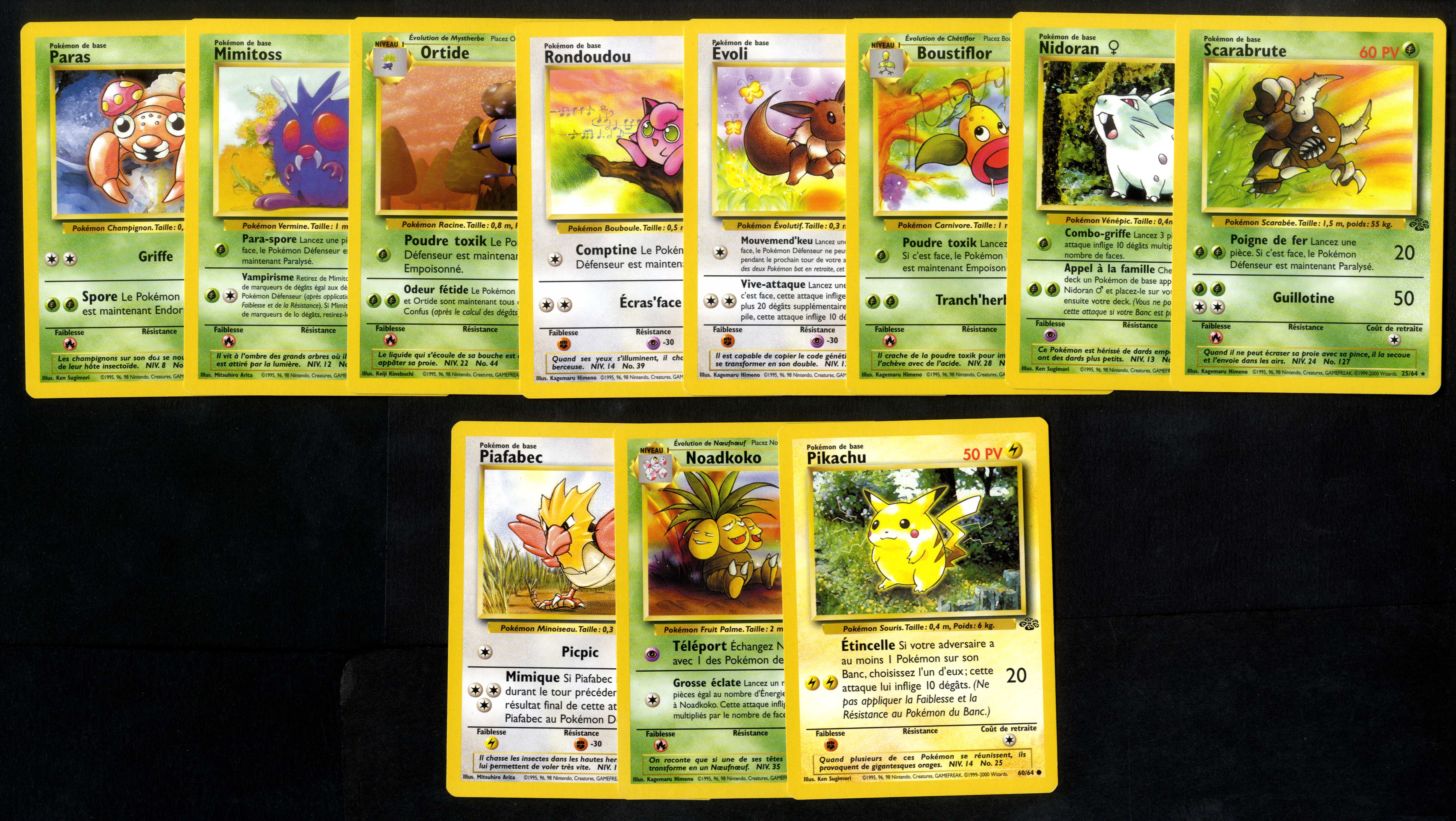 Jungle - Small French bundle - 11 cards