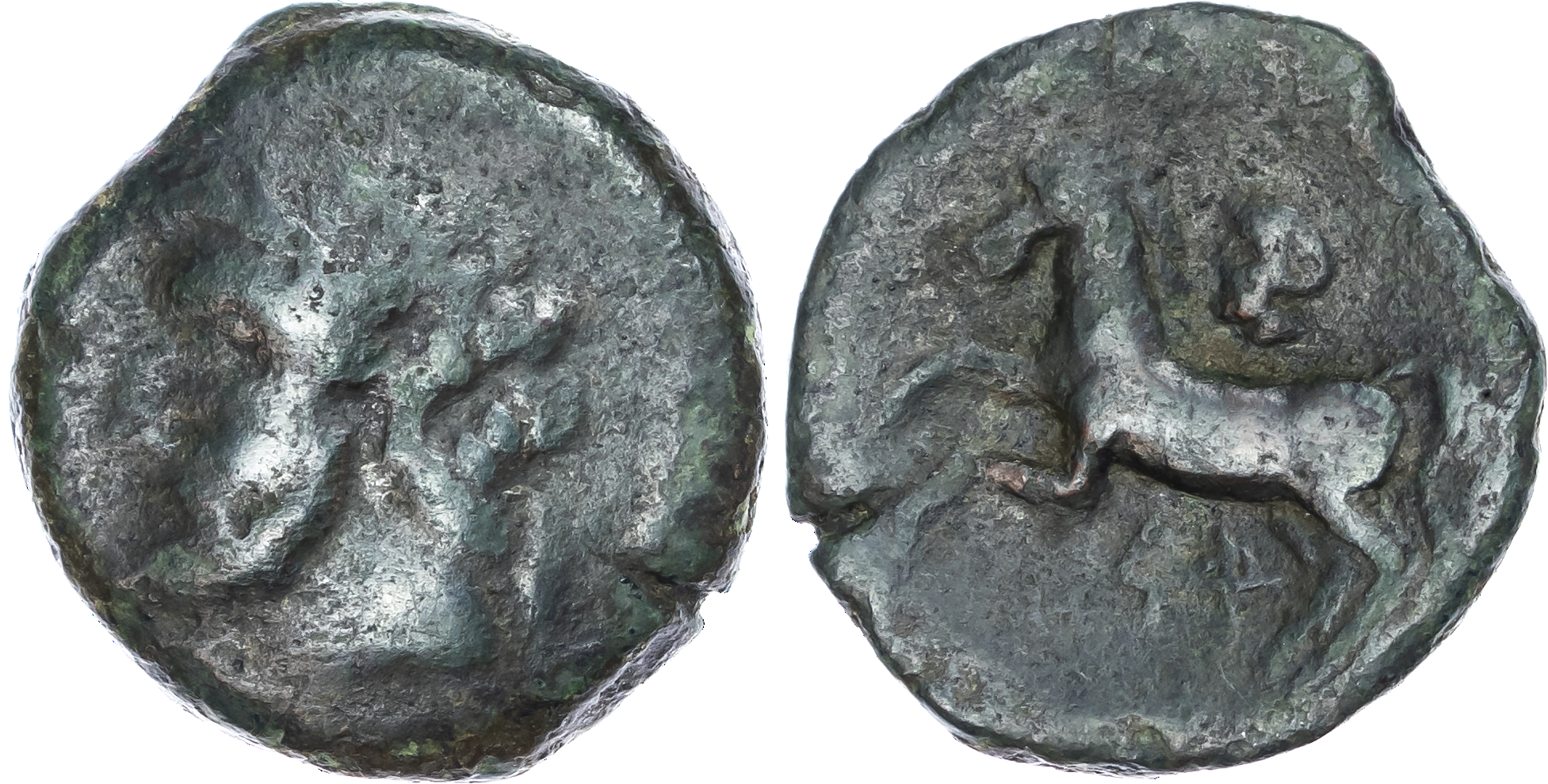 Numidia, Micipsa (148-118 BC) AE Unit