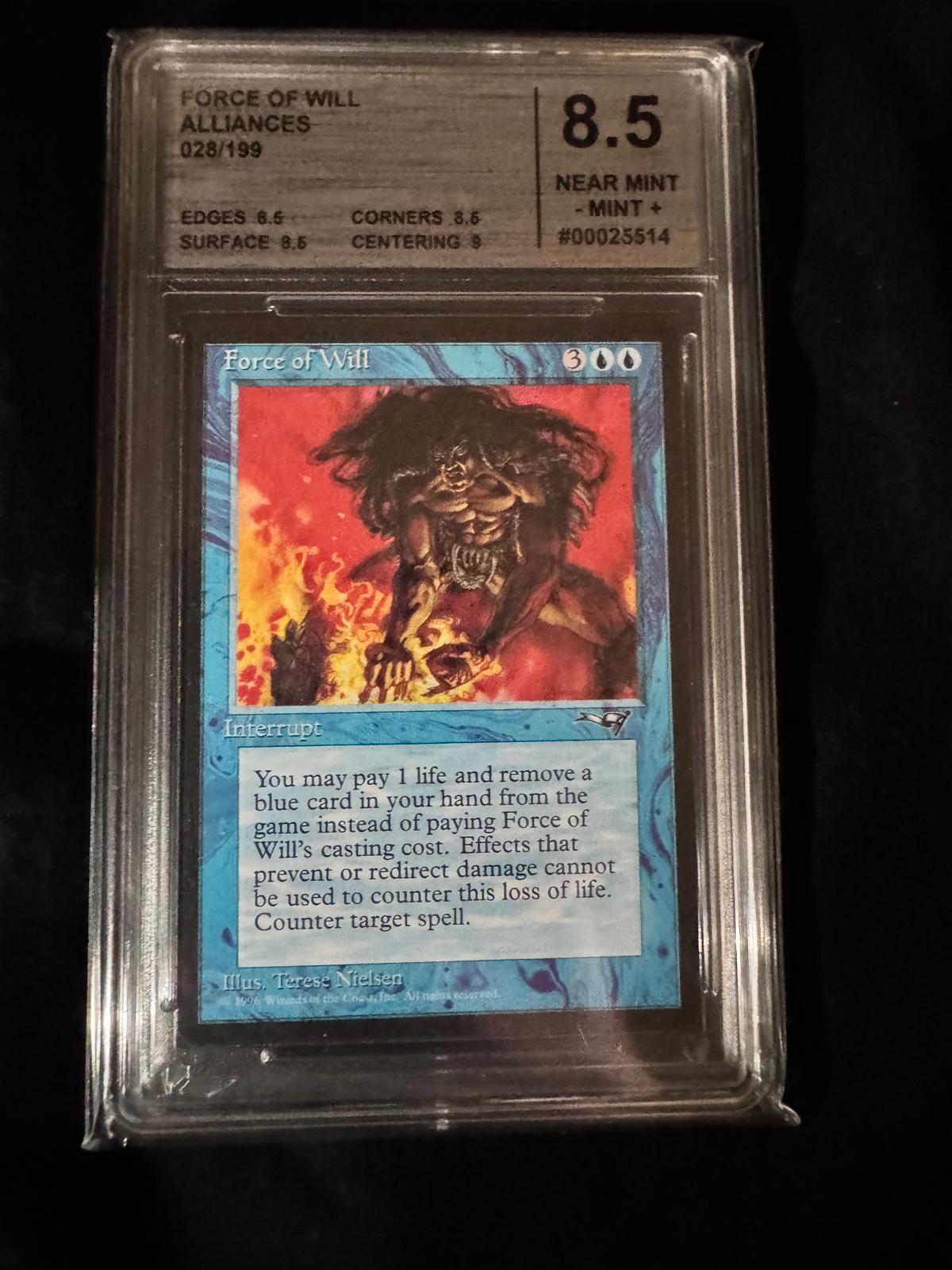 Magic The Gathering - Force of Will - Alliances - CMG 8.5 Near Mint/Mint
