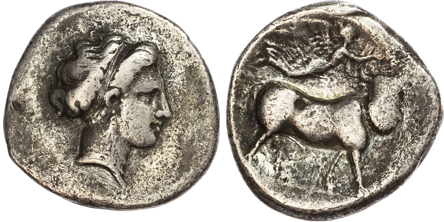 Campania, Neapolis (c. 320-300 BC) AR Nomos, 6.80g. 